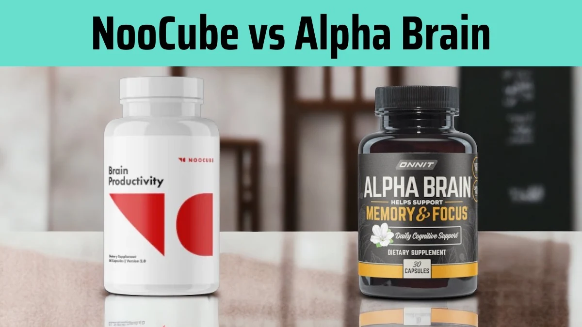 Product review of NOOCUBE vs. ALPHA BRAIN article image